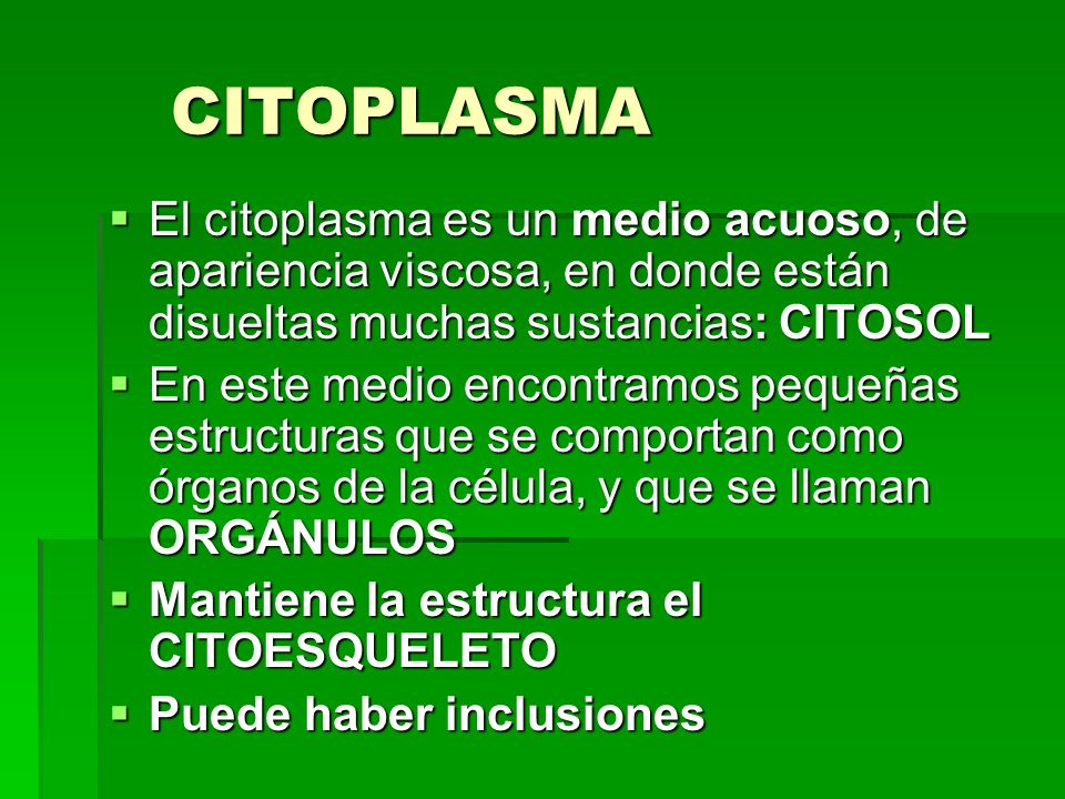 El adelgazamiento el método fukutsudzi las revocaciones de los médicos